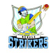 Kerala Strikers team logo