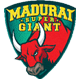 Madurai Super Giant team logo