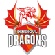 Dindigul Dragons team logo