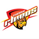 Chennai Rhinos team logo