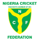 Nigeria team logo
